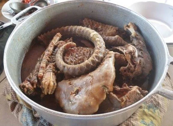 Pangolin under threat
